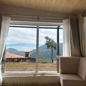 Deluxe Junior Suite